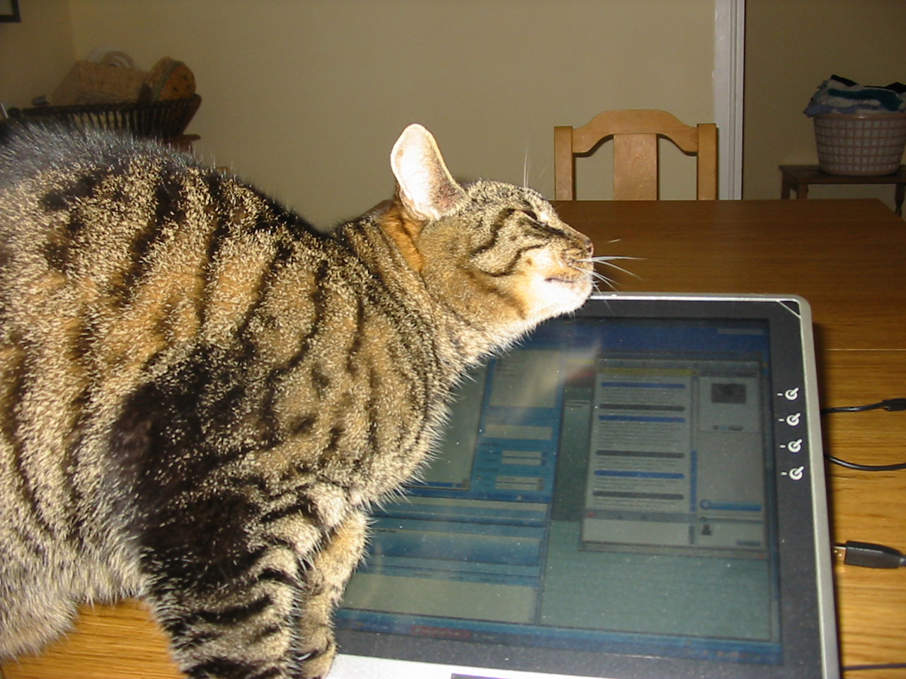 Ben on computer 2