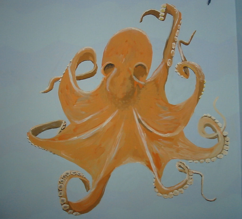 Octopus adjusted
