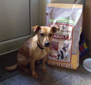 nellie and food