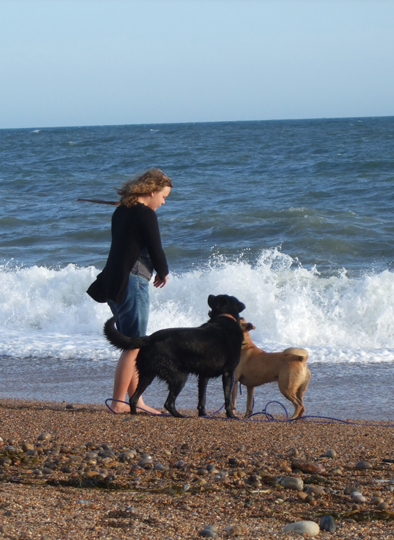 blog holiday dorset 009