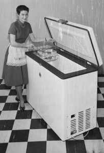 Domestic Goddess 1960